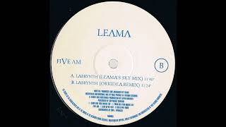 Leama  Labrynth Orkidea Remix 2000 [upl. by Erelia573]