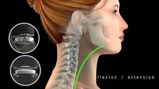 MobiC Neck Movement Animation [upl. by Charin]