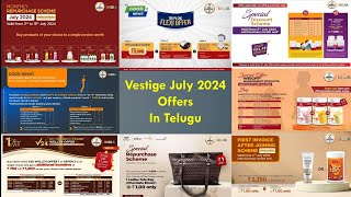 Vestige July 2024 Monthly Offers In Teluguvestige scheme offers networkmarketingjuly free [upl. by Eilama471]