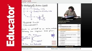 Phosphatidyl Inositol Structure and Reaction  Biochemistry Tutorial [upl. by Tamar655]