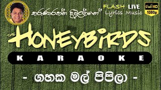 Gahaka Mal Pipila Karaoke Without Voice ගහක මල් පිපිලා කැරෝකේ [upl. by Tilden216]