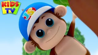 Animal Habitat Song  Junior Squad  Nursery Rhymes for Babies  Kids TV [upl. by Celle281]