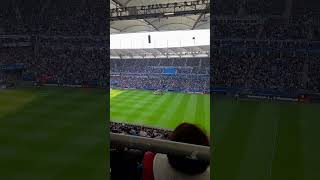 HSV vs Magdeburg Einlauflied 🔥🔥 [upl. by Yddor]