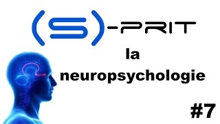 La neuropsychologie en 4 points  Sprit 7 [upl. by Marcin]