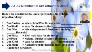 A1A2 Grammatik Dimunitiv u Deklination Üb01 [upl. by Aihseket]