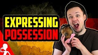 Expressing Possession or Two Germans One Cup  Learn German for Beginners  Lesson 15 [upl. by Fosque]