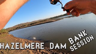 Hazelmere Dam Bank Fishing session Bass Fishing South Africa [upl. by Goar]