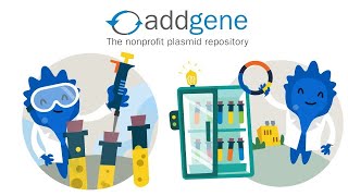 Addgene  Sequence Analysis  Restriction Enzymes  Nucleotide  Blast  Bioinformatics  Urdu [upl. by Wenger]