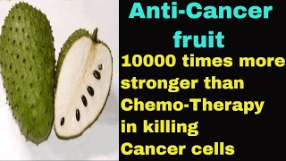 Top Health Benefits of Graviola  AntiCancer fruit [upl. by Ahsead421]