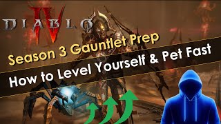 Super Easy Way to Level Up Yourself and Pet in Vaults [upl. by Joletta]