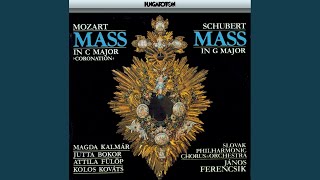 Mass No 2 in G major Benedictus [upl. by Cash]