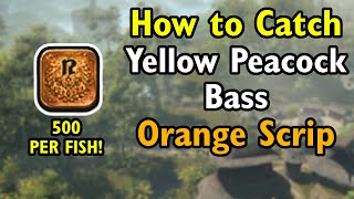 Yellow Peacock Bass  Orange Gathering Scrip  FF14 Dawntrail [upl. by Emmanuel]