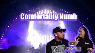 Pink Floyd  Comfortably Numb  pulse concert performance 1994 eFamily Reaction [upl. by Iruam]