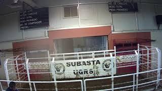 SUBASTA  HERMOSILLO 240020 14032024 [upl. by Attenov390]