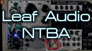 Leaf Audio  NTBA [upl. by Graehme]