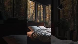 Peaceful Rainfall in Your Bedroom 🌧️🛌 quietsleep soothingrain rain naturesounds relax sleep [upl. by Fante]