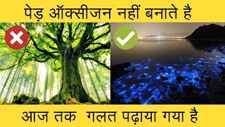 पेड़ हमे ऑक्सीजन नहीं देते  We get oxygen from oceanCyanobacteriaPhytoplanktonBlue green algae [upl. by Knobloch]