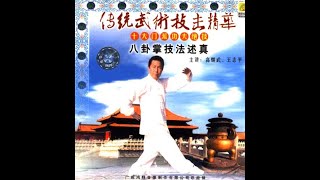 Application of Baguazhang of the Gao family [upl. by Wun]