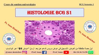 Histologie BCG S1  Chapitre I  Épithéliums Introduction à lHistologie شرح بالدارجة [upl. by Dnanidref827]