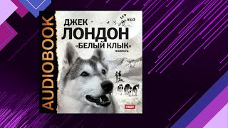 📘Белый КЛЫК В исполнении Ильи Бобылева Джек Лондон Аудиофрагмент [upl. by Kyred736]