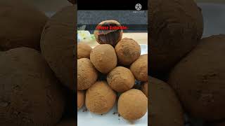 2 Ingredient truffles tutorial Shorts [upl. by Atiekan]