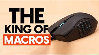 Best Mouse For MMO Gaming in 2023 Top 5 Picks For Any Budget [upl. by Yhtomit]