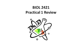 BIOL2421 Practical I Review Microbiology for Science Majors [upl. by Scarlet115]