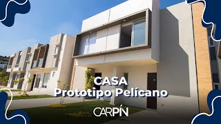 🏠¿Quieres conocer nuestra casa prototipo Pelícano  Ubicada en Xalapa  Casas Carpín [upl. by Schramke]