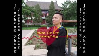 Jincheng Zhang  Instructive I Like Birds Official Audio [upl. by Rutherfurd929]