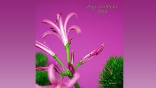 Thomas Fehlmann  Treatment Pop Ambient 2014 Album [upl. by Schnorr]