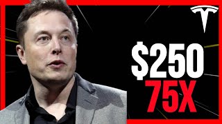 Tesla Stock Price Forecast How Ordinary Investors Beat Wall Street [upl. by Portwine540]