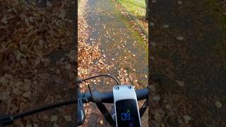 Okai ES500 E Scooter Steigungstest 15 Steigung escooter electric mtb [upl. by Cynth983]