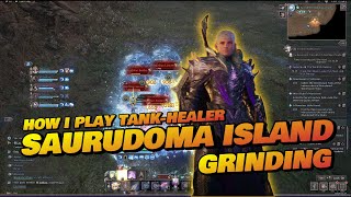 TANK  HEALER Gameplay SNSWAND PALADIN Grinding on Saurudoma Island [upl. by Aniuqal736]