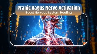 Pranic Vagus Nerve Activation  Boost Nervous System Healing amp Inner Peace with Alpha Wave Therapy [upl. by Fillbert843]