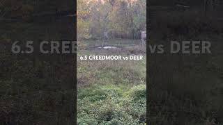 65 CREEDMOOR vs DEER [upl. by Alrzc]