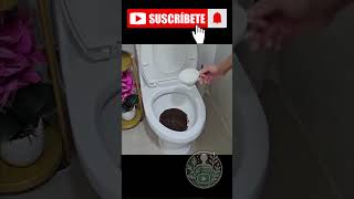 ✨ Inodoro Reluciente con Café y Bicarbonato ¡El Truco Inesperado 🧼☕ [upl. by Trovillion]