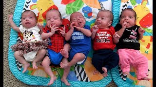 Quintuplets at home Parents’ suddenly surreal life with 7 kids [upl. by Helse]