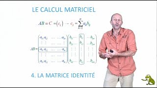 Le calcul matriciel  4 La matrice identité [upl. by Bronnie636]