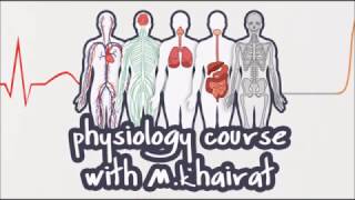 Physiology CVS 5  Excitability changes of the cardiac muscle  Factors affecting Excitability [upl. by Anitac]