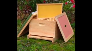 First Year Of Beekeeping basic equipment starting your beehive [upl. by Mccallum]