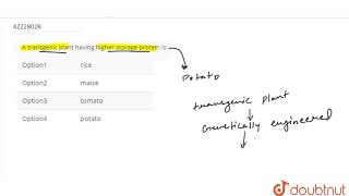 A transgenic plant having higher storage protein is [upl. by Noiramaj]