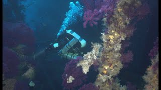 Wreck Diving Sardinië okt 2024 [upl. by Drarehs]