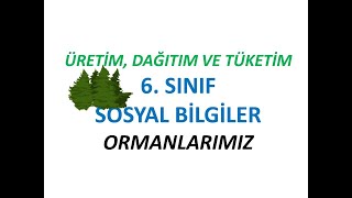 6 Sınıf Sosyal Bilgiler Ülkemizde Ormancılık ve Turizm ÜRETİM DAĞITIM VE TÜKETİM [upl. by Lledor]