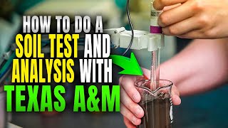 How To Do a Soil Test and Analysis with Texas AampM [upl. by Lenz]