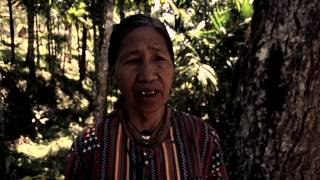 Tribal sounds of the Philippines • IFUGAO [upl. by Vinny994]