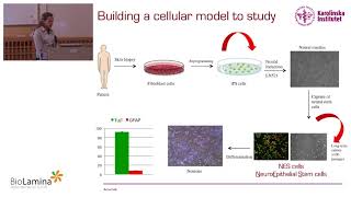 Neural stem cells in health and disease [upl. by Llednahs]