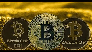 Crypto War BTC vs BCH vs BSV [upl. by Jacquie]