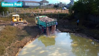 Frist Day to remove Pond support by Dozer D3 amp 5T Truck pushing soil into water [upl. by Ttoile]