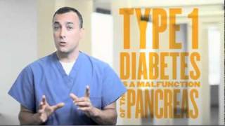 Type 1 vs Type 2 Diabetes [upl. by Dail583]