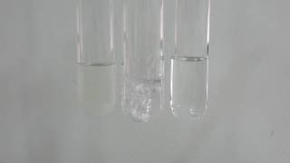 Chlorine and potassium bromide [upl. by Trisha649]